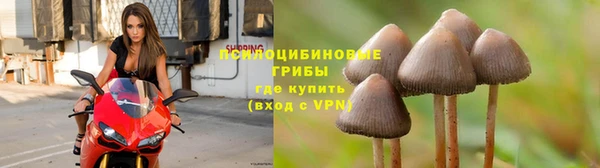COCAINE Лагань