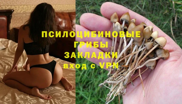 каннабис Лабытнанги