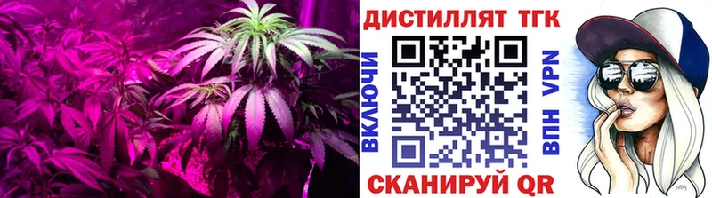 дарнет шоп Сковородино маркетплейс клад Дистиллят ТГК гашишное масло omg маркетплейс